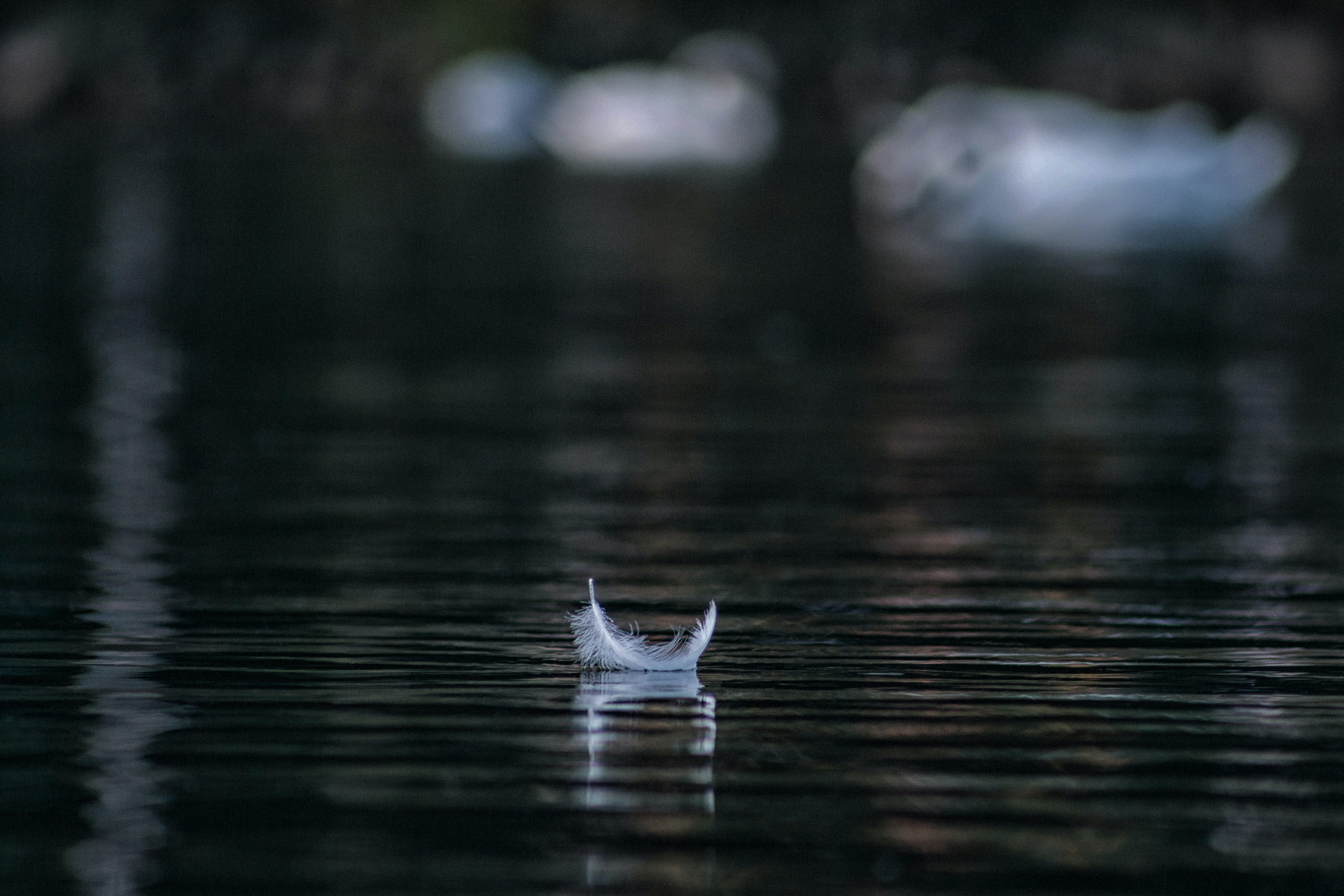 quiet lake feature water